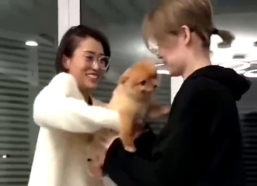 狗仗人势小姐姐,揭秘宠物界的“网红”现象