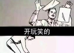 网上最火的表情包,趣味横生，情感共鸣