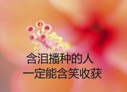 致自己励志人生感悟,成就非凡人生
