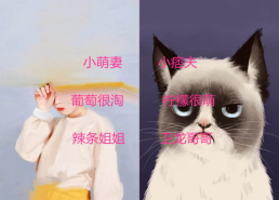 搞笑又潮的网名,创意无限，笑点连连