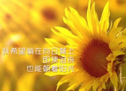 十句话穿透人心,直击心灵深处
